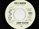 Northern Soul 45 - Larry Clinton - She's Wanted - Dynamo - mp3 - rare