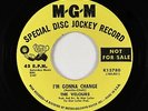 Northern Soul 45 - Velours - I'm Gonna Change - MGM - VG++ mp3