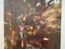 CREEDENCE CLEARWATER REVIVAL BAYOU COUNTRY RARE ORG. BLUE LABEL SHRINK NM-/VG+