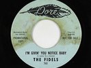 Northern Soul 45 - Fidels - I'm Givin' You Notice Baby - Dore - mp3