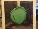 [FUNK] EXC LP The METERS Cabbage Alley [OG 1972 REPRISE] WHITE LABEL PROMO WLP