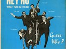 CHAD ALLAN & THE EXPRESSIONS 1965 LP HEY HO WHAT YOU DO TO ME RANDY BACHMAN
