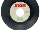 2 The Modulation Corporation Worms What To Do 45 Vinyl 60's Garage ATOM Record