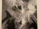 THE AFGHAN WHIGS Do To The Beast 2014 Vinyl Record 2LPs Play Tested EX