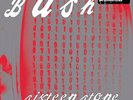 Bush - Sixteen Stone - LP