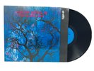 Amon Düül II ‎Phallus Dei Germany 2009 Reissue Remastered Krautrock VG+ Inner LP