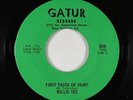Northern Soul/Funk 45 - Willie Tee - First Taste Of Hurt - Gatur - VG+ mp3