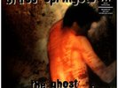 Bruce Springsteen - The Ghost Of Tom Joad (Vinyl LP - 1995 - EU - Original)