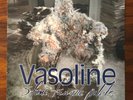 NM VINYL STONE TEMPLE PILOTS Vasoline BLUE A5650T STICKER 4 Track 12