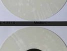 NOFX HOFX Euro EDITION NEW RECORD SEALED Punk AFI