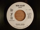Beau Allen  Fallen Angel/Georgia Ground  Promo  Garage, Psych