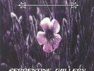SWITCHBLADE SYMPHONY - Serpentine Gallery - Vinyl (LP)