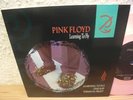 PINK FLOYD TERMINAL FROST LEARNING TO FLY PINK VINYL 