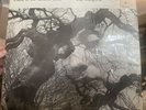 Diana In the Autumn Wind Gap Mangione Rare Vinyl LP