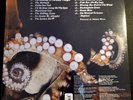 Mollusk by Ween- GREEN MARBLED VINYL (Record, 2016)