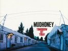 Tomorrow Hit Today by Mudhoney (Record, 2018)