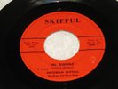 Pictorian Skiffuls - In Awhile - Skifful 15588- garage / psych / Dayton - LISTEN