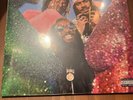 NEW SUPER RARE Flatbush Zombies - Vacation in Hell COLORED Vinyl 2xLP