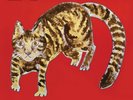 Yasuaki Shimizu – Kakashi Vinyl Lp 2017 reissue of 1982 hosono sakamoto rare cat