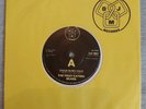 The Fruit Eating Bears – Door In My Face RARE 1978 PUNK 7