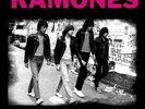 THE RAMONES Live in Buffalo February 1979 12