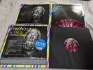 Nothing Is True & Everything Is Possible by Enter Shikari Vinyl FULLY SIGNED