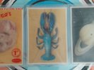 The B-52's Rock Lobster Limited Edition Shaped Picture Discs Full Set