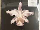 KINGS OF LEON – AHA SHAKE HEARTBREAK - 180G VINYL 2x LP NEW - TORN SHRINK WRAP 6