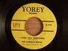 The American Beetles I Wish You Everything/Say You Do Rare Mod Garage 1965 Yorey