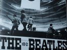 The Beatles 7in Vinyl E.P,blue Vinyl,japan Issue Rare