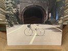 The Backseat Lovers | When We Were Friends (Coke Bottle Clear Vinyl / 1LP) NEW