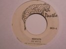 JOE WHITE Kenyata PANTHER Killer  Roots Inst Melodica Reggae 7