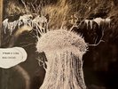 Radiohead / Pyramid Song 12