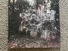 La dispute Wildlife Vinyl First Pressing