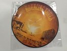 The Bouncing Souls Gold Record pic disc nofx strike anywhere gaslight anthem afi