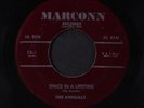 ANNUALS : once in a lifetime / hungry, i'm hungry MARCONN 7