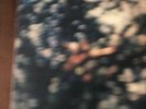 Pink Floyd - Obscured by Clouds - 1972 First (Withdrawn) Press VG+/ VG+