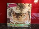Peter & The Test Tube Babies - The Mating Sounds of South American Frogs, 1983