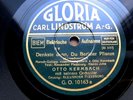 0070/ ALEXANDER FLESSBURG-Denkste denn, du Berliner Pflanze-TOLL-78rpm Schellack