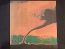 The Icicle Works - Permanent Damage - Used Vinyl Record - C34A