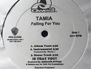 Tamia - Falling For You / So Into You (12