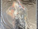 iron maiden infinite dreams Picture Disc vinyl
