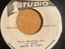 ANDY & JOEY You're Wondering Now 45 on Studio One JA rare ska reggae