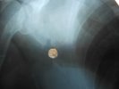 USSR bone record X RAY PLATE Led Zeppelin single immigrant song boot leg