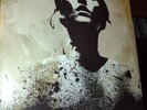 Converge Jane Doe Deathwish Exclusive Transparent Gold W/Black Smoke /500 Copies