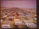Pink Floyd ‎– A Momentary Lapse Of Reason (1987)