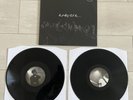 The Reytons - And They Call Us… - Gatefold Vinyl 2019 *Great Copy *