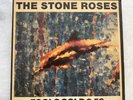 Stone roses vinyl 12
