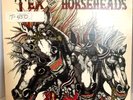 Tex And The Horseheads - Self-Titled LP Vinyl Enigma Bemisbrain Records 1984 OG