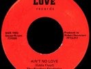 THE SIZZLING STARLISTICS Ain't No Love 45 Rare 1973 AL Crossover Sweet Soul